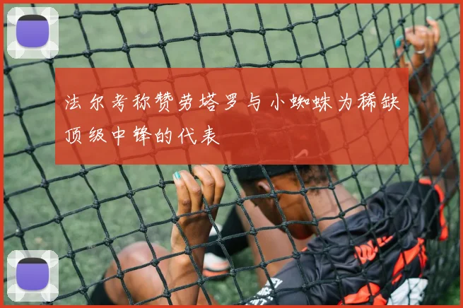 法尔考称赞劳塔罗与小蜘蛛为稀缺顶级中锋的代表